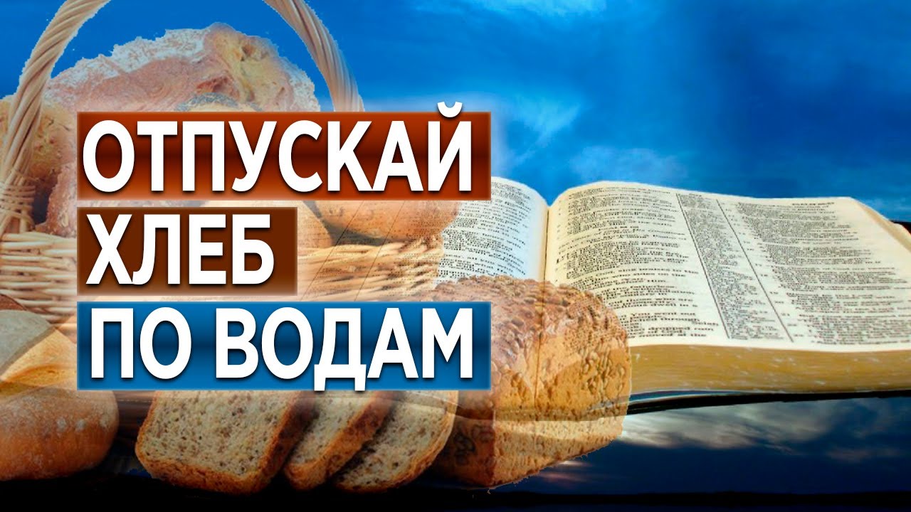 #77 Отпускай хлеб по водам - Алексей Осокин - Библия 365 (2 сезон)