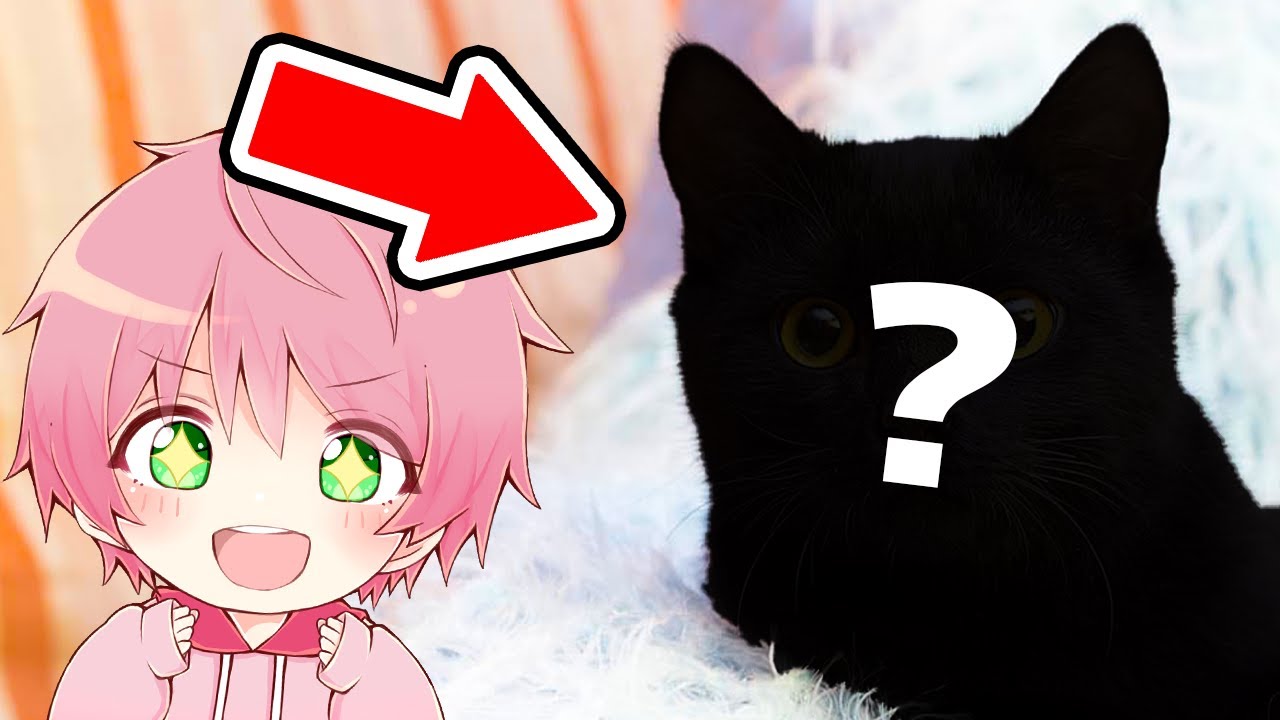 新しいペットを飼うことになりました！🐱✨【Little Kitty, Big City】【てるとくん】