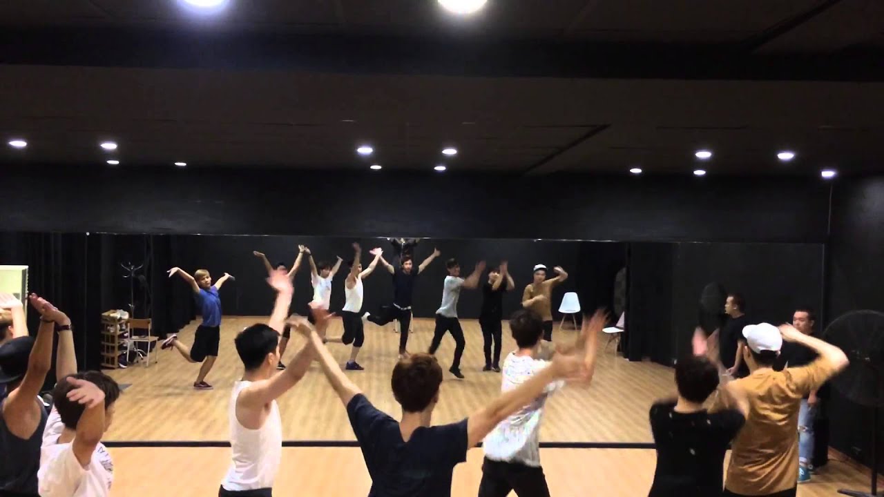 Lion Heart - Girls' Generation/SNSD PARODY by St.319's BOYS