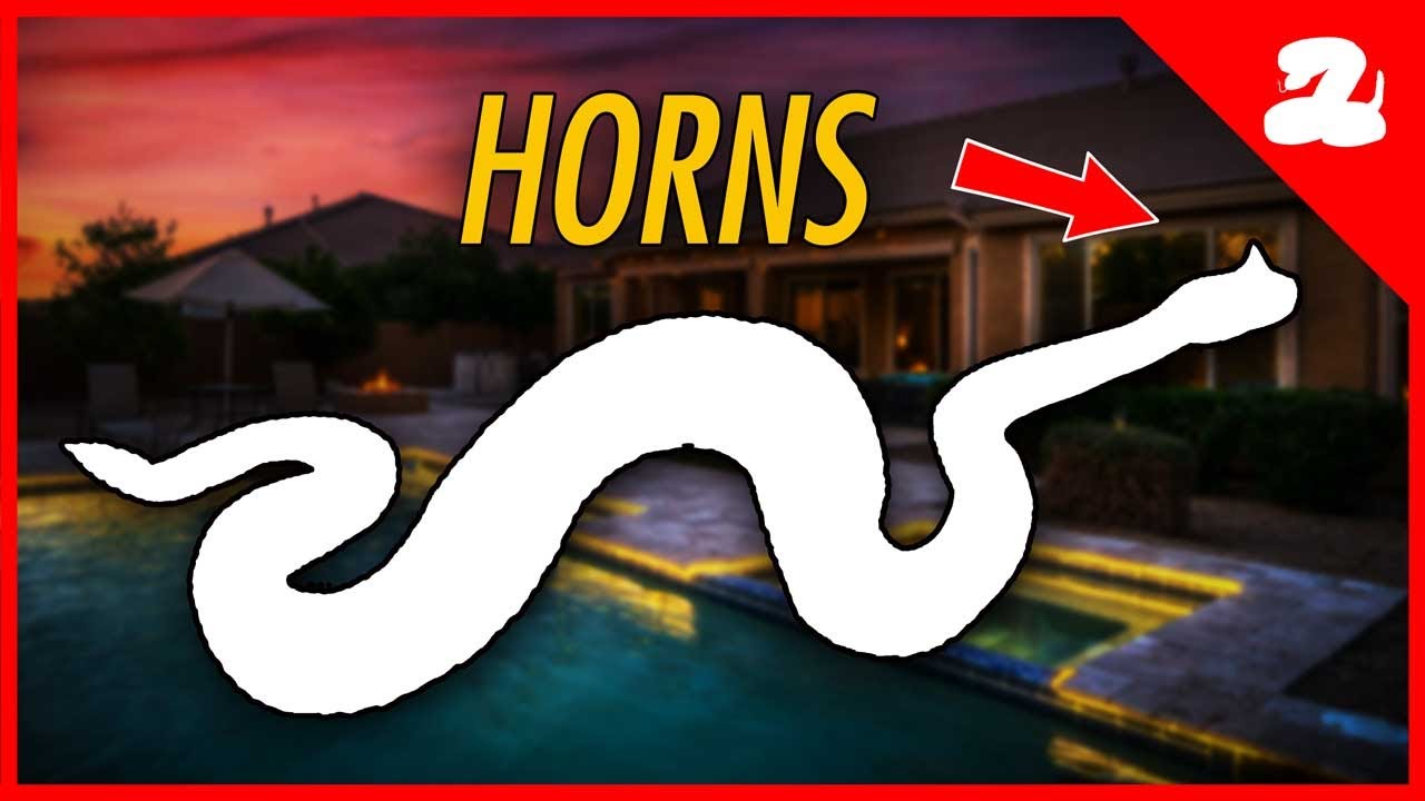 Guess What Rattlesnake We Found! | The Rarest Call We Get