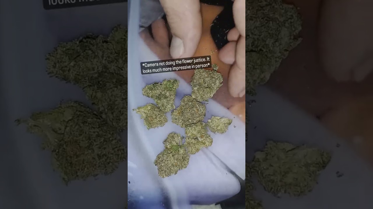 Puff or Pass? Backpackboyz: Scottie Pippin. 60 second review!