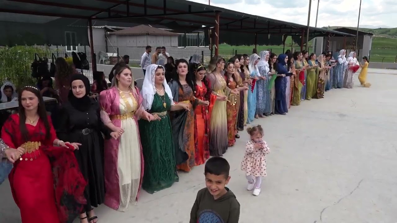 Mehmet Emin Tayşi Düğünü Part 3 ( Grup Welat Silopi ) 2024