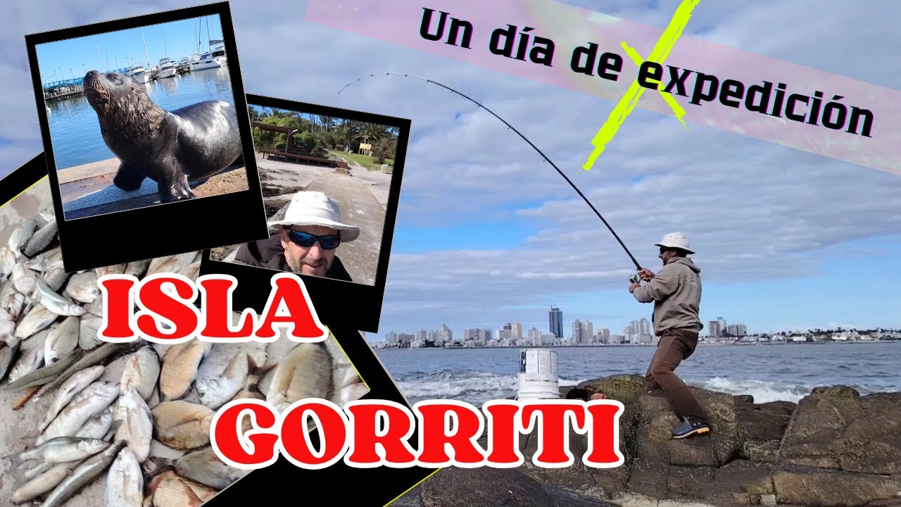 La isla de los Sargos.