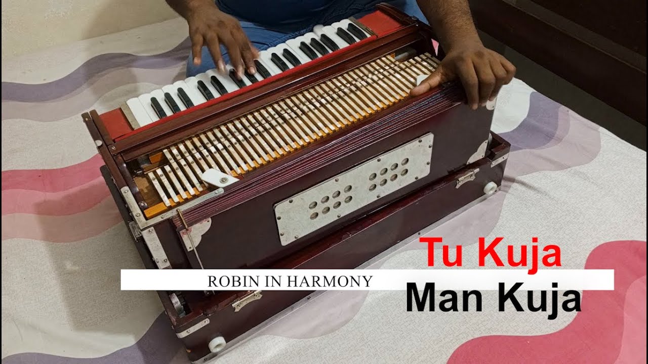 Tu Kuja Man Kuja | Harmonium Cover | Shiraz Uppal & Rafaqat Ali Khan | Robin in Harmony