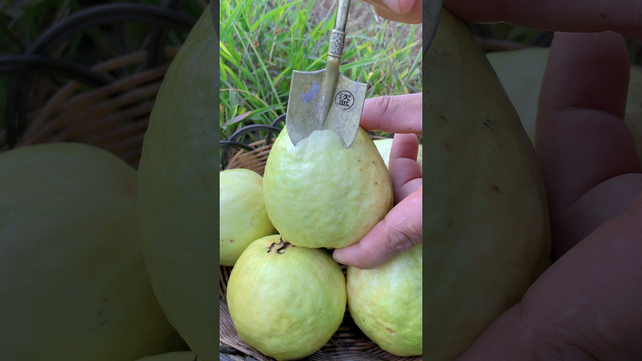 White guava cutting #shorts #satisfying