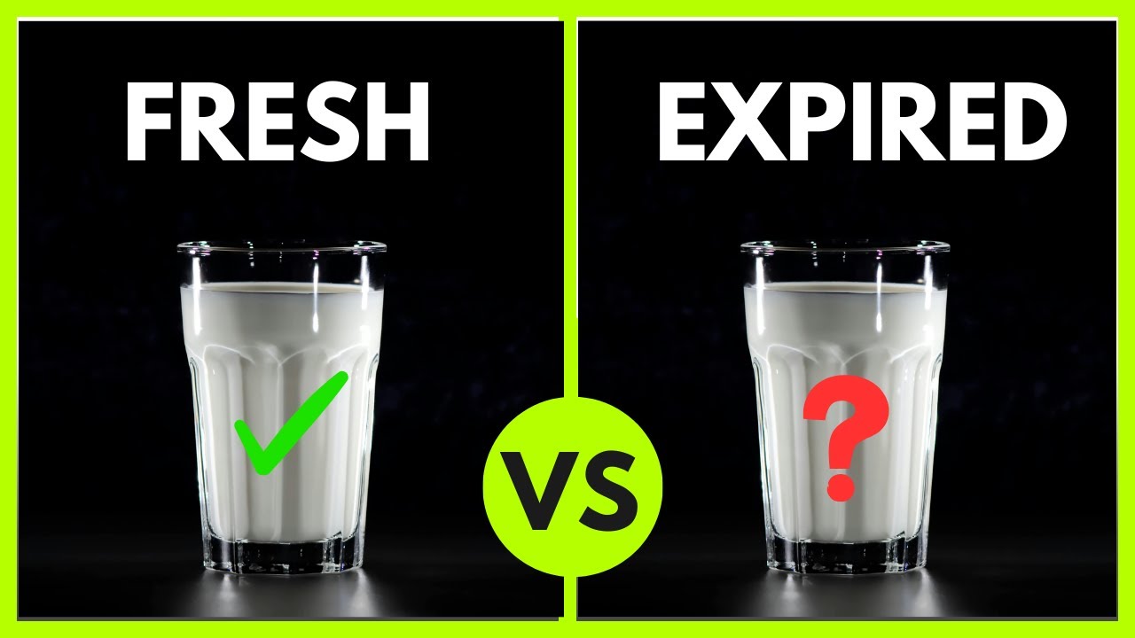 Do Probiotic drinks EXPIRE? Under the Microscope