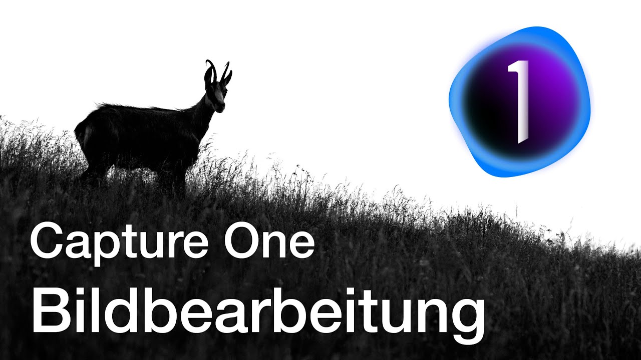 Gämsen fotografieren Teil 2 - Bildverwaltung und Bildbearbeitung (FastRawViewer und Capture One)