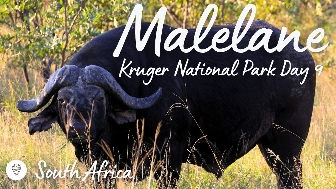 Kruger Park Day 9: lodge review in Marloth Park | Big 4 around Malelane Gate | Expedition Wild
