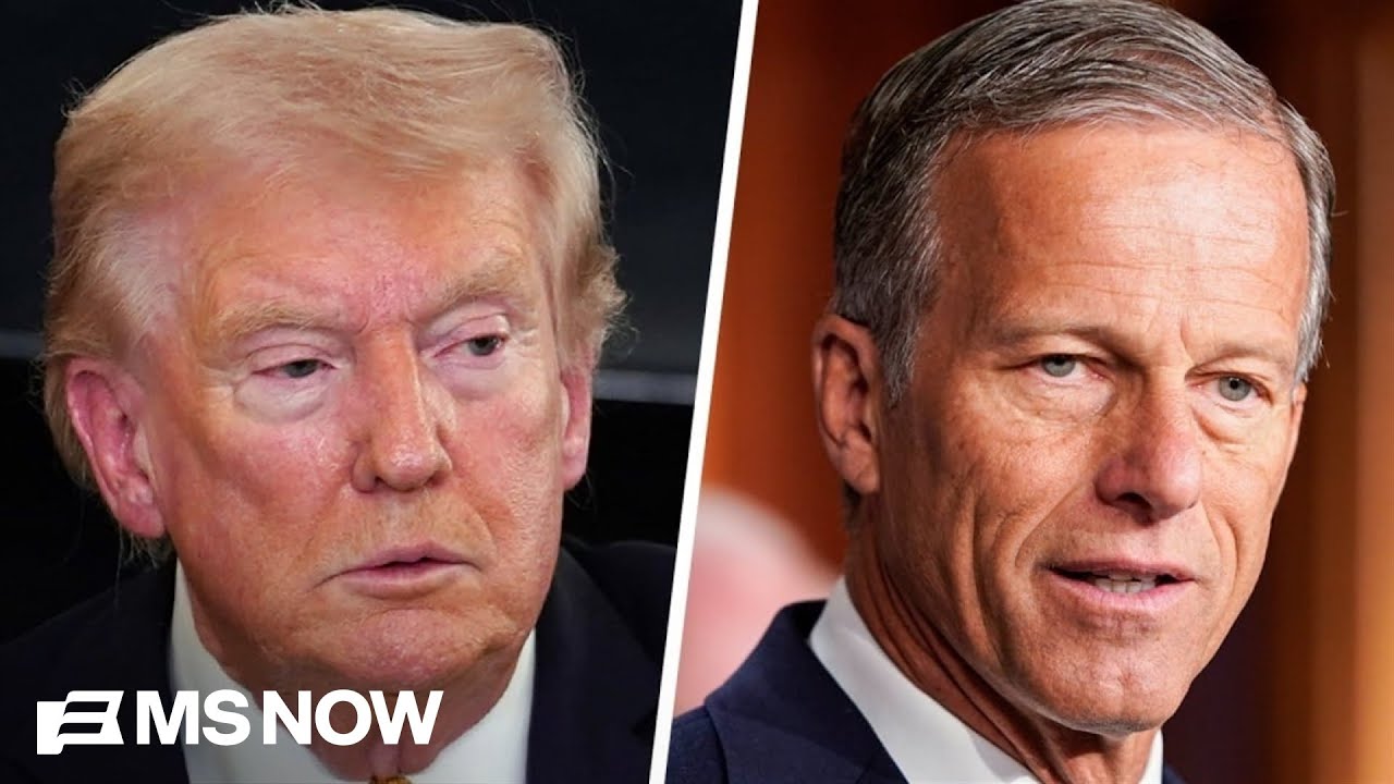 'The tensions have been unmistakable': 'Awkward' divide grows between Trump and Thune
