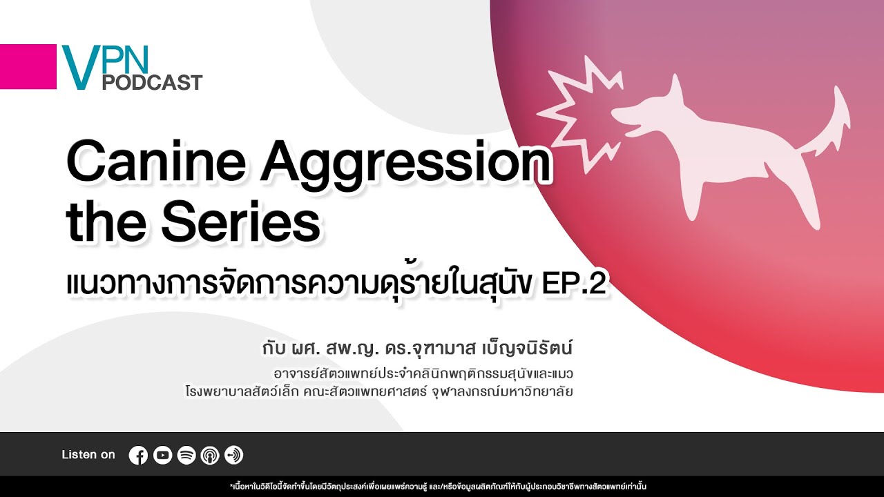 VPN Podcast EP.72 : แนวทางการจัดการความดุร้ายในสุนัข EP. 2