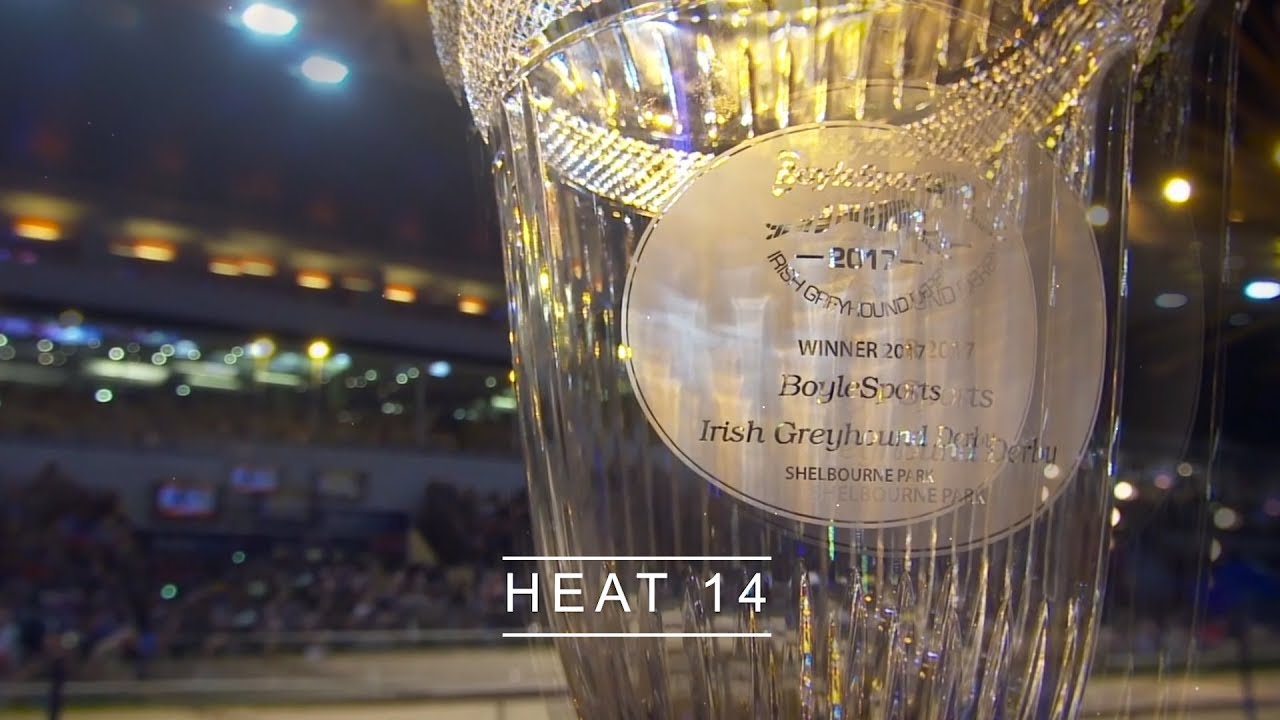 2019 BoyleSports Irish Greyhound Derby Round 1 Heats 14 to 26