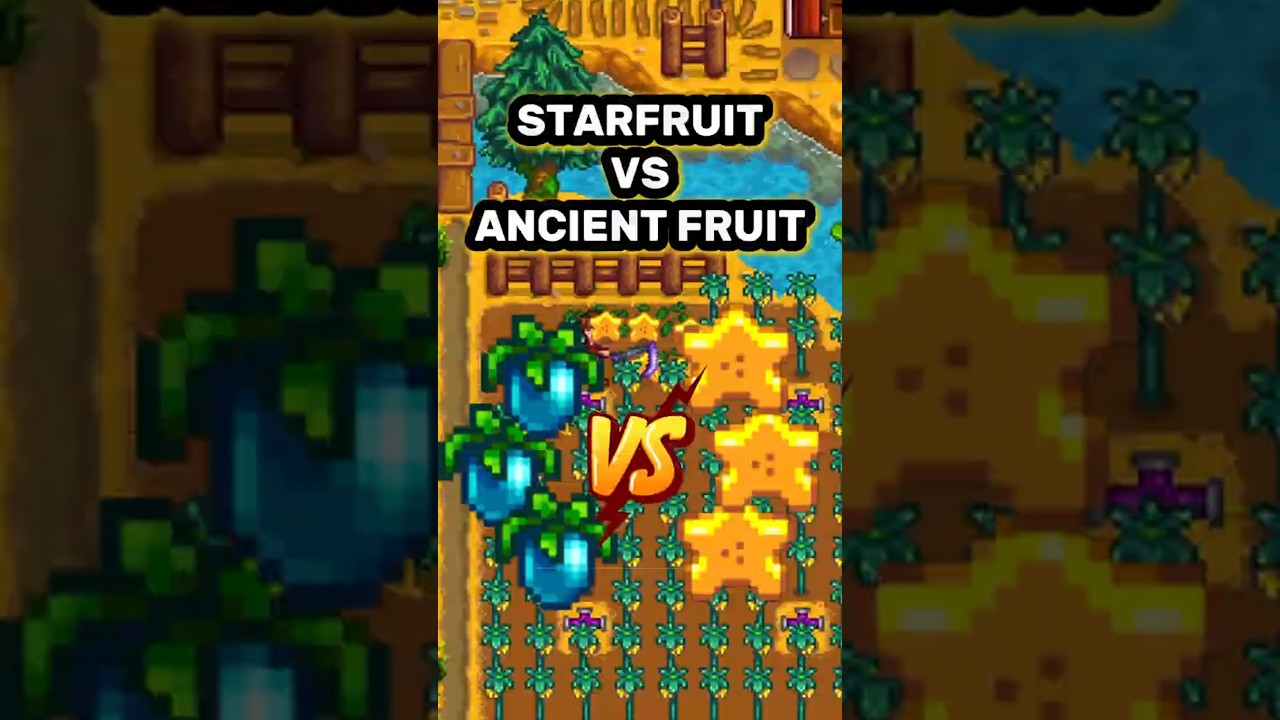 ancient fruit wine vs starfruit wine ⭐💫