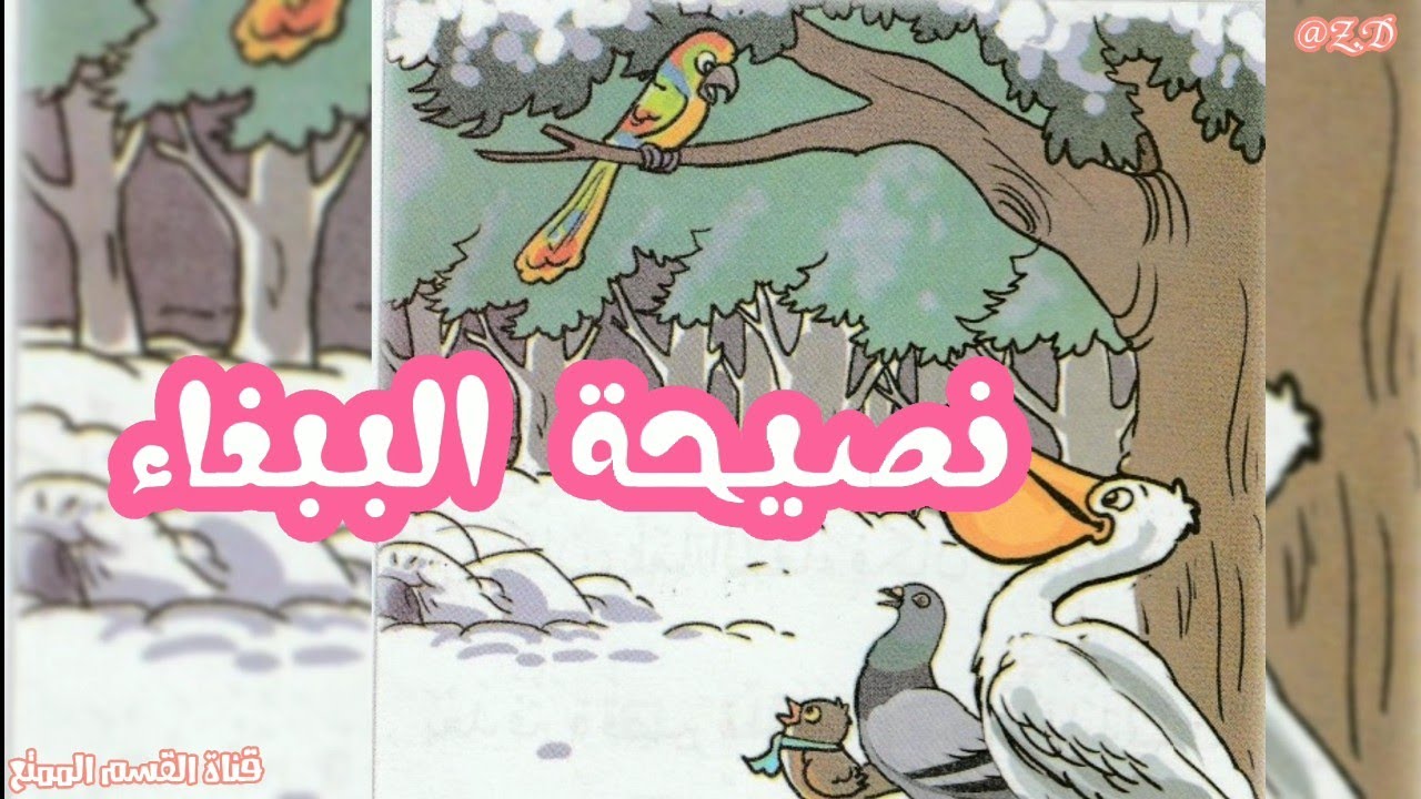 حكاية نصيحة الببغاء . أداء تلاميذ المستوى الثالث