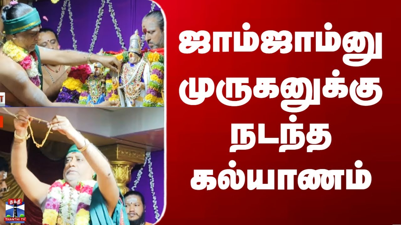 Palani Murugan | Thaipoosam | ஜாம்ஜாம்னு முருகனுக்கு நடந்த கல்யாணம்