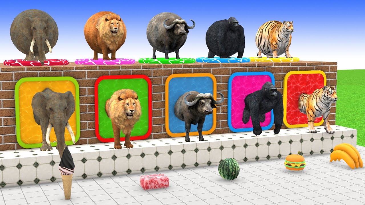 Long Slide Game With Cow Elephant Gorilla Hippopotamus Tiger 3d Animal Game Funny 3d Animals