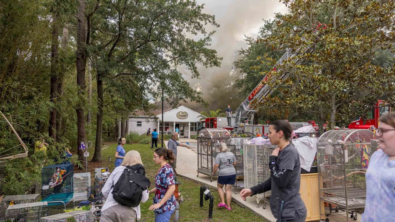 Jacksonville Fire Rescue Department  responds to an Exotic Bird Hospital Fire