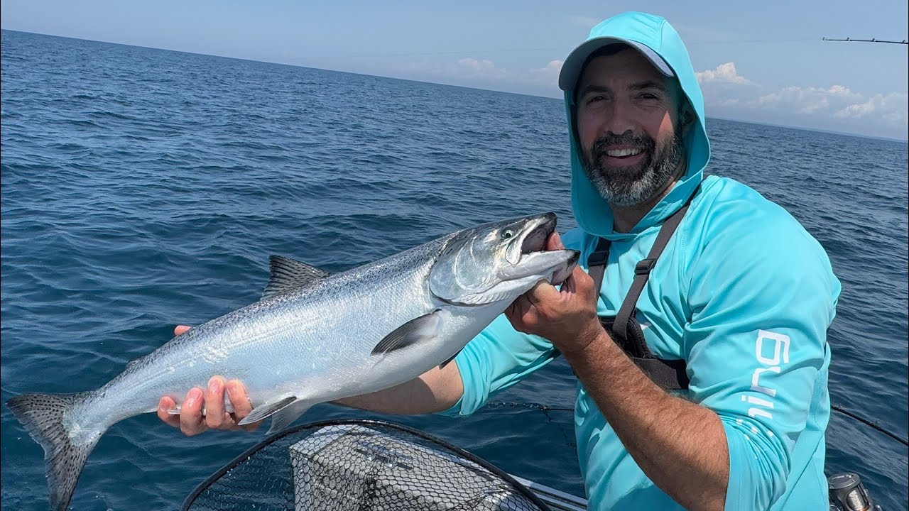 SUMMER SALMON on LAKE MICHIGAN #salmonfishing #cohosalmon #kingsalmon #fishing #michigan