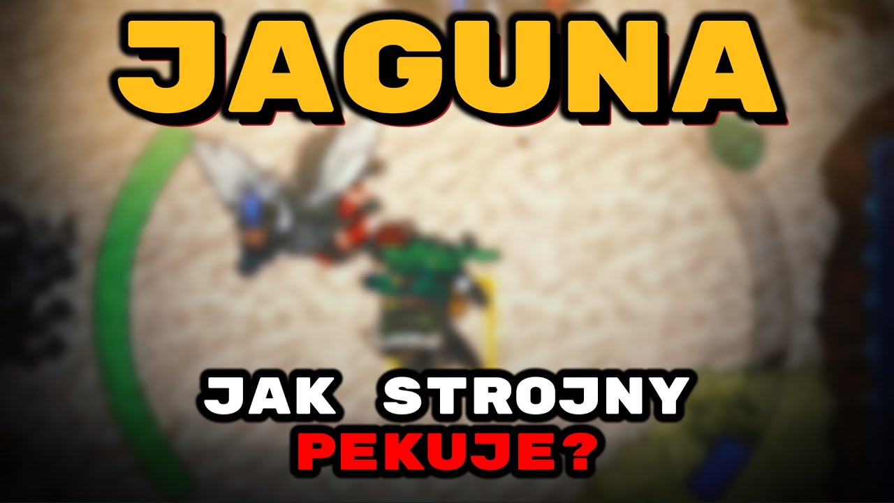 DZIŚ BYŁO MOJE PIERWSZE PK NA SERWERZE | JAGUNA #10
