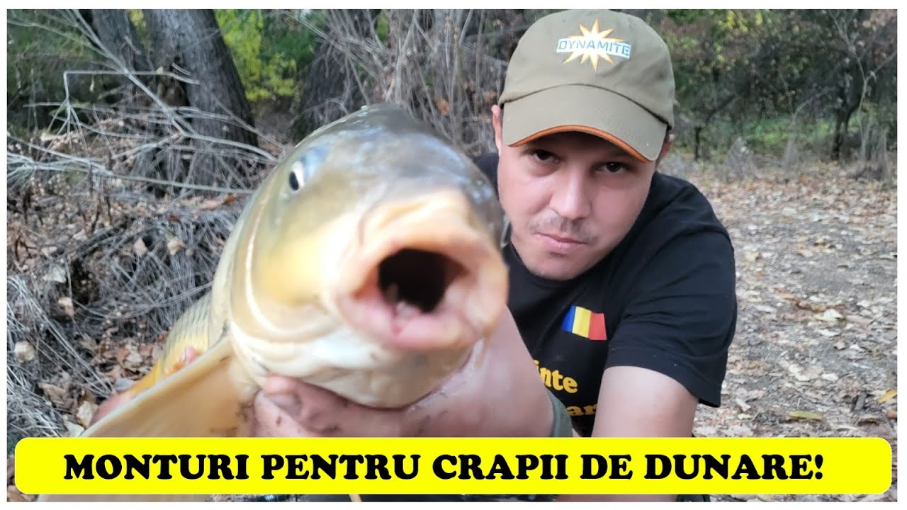 MONTURI PENTRU CRAPII DE DUNARE