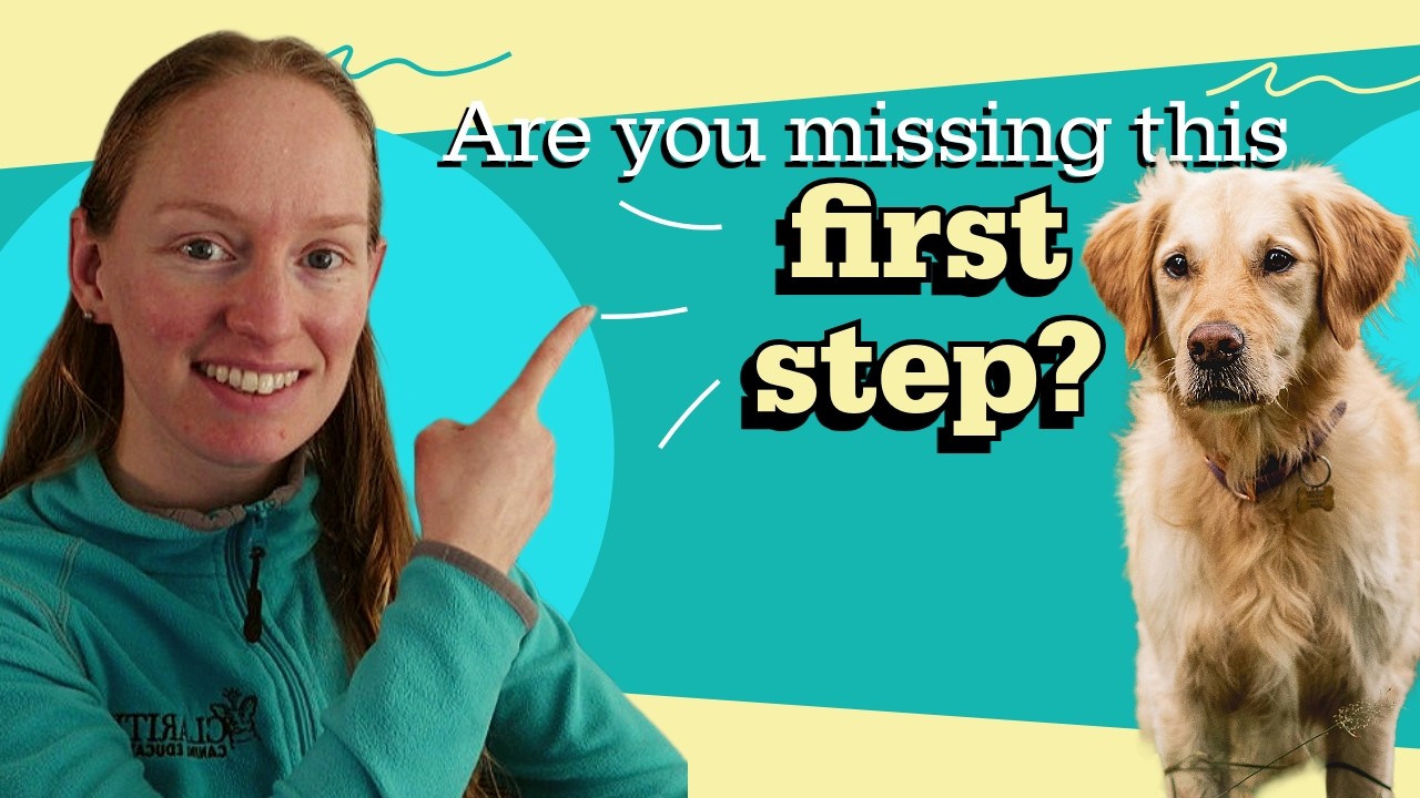 Do THIS before trying to train your nervous dog