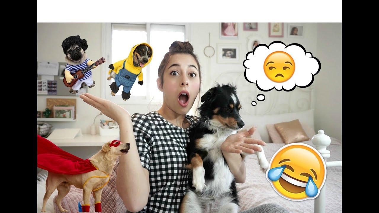 הכלבה שלי מודדת תחפושות מאליאקספרס!!! | עמנואל לוי
