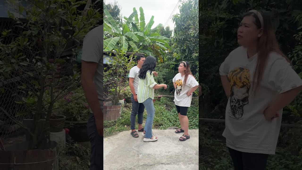 Hàng Xóm Cạch Mặt Vì Cái Cây | Nguyễn Mỹ Thanh