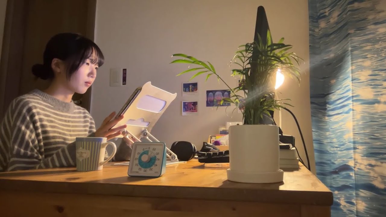🦓 긴 밤, 같이 공부해요 3hour study with me | 백색 소음 | 뽀모도로 🦓