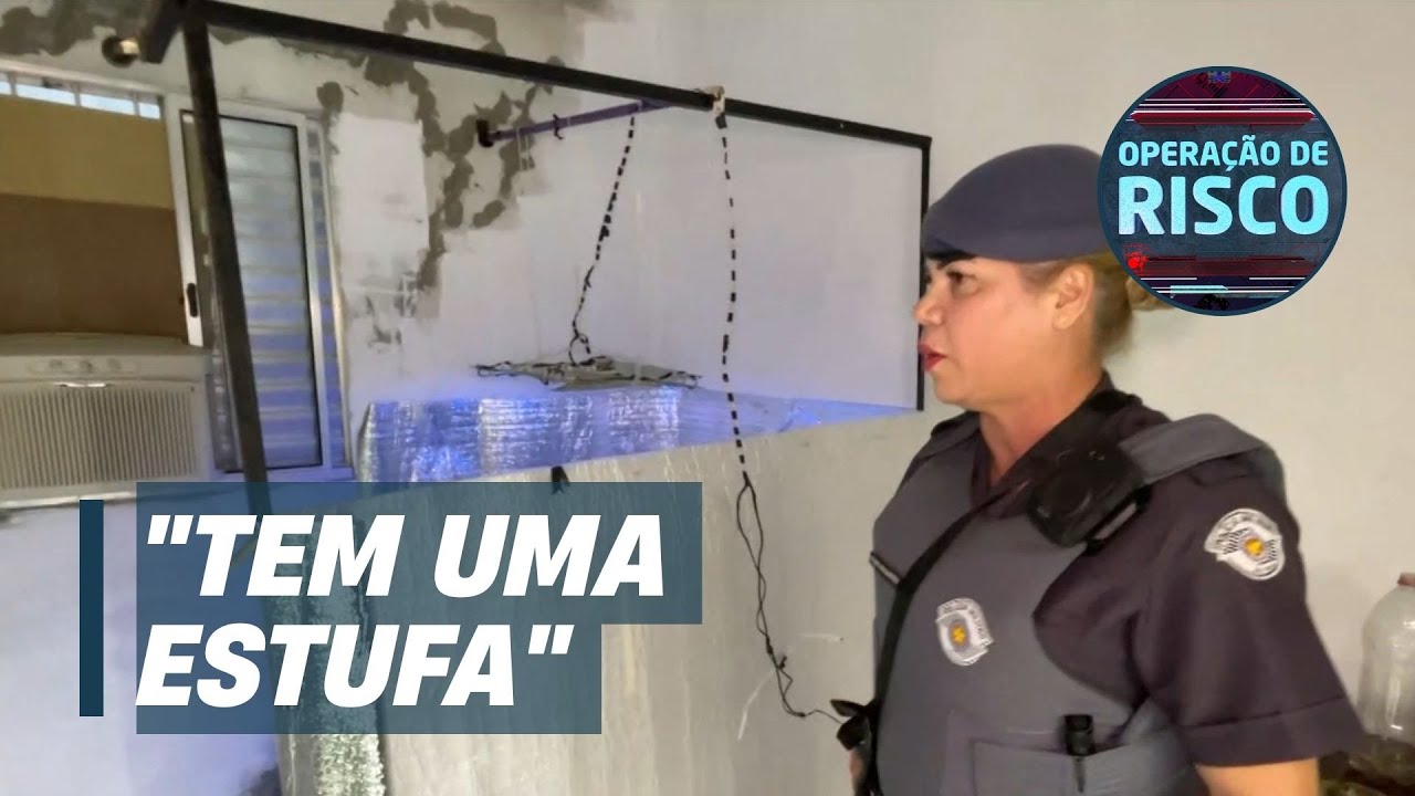 Combate às drogas: polícia descobre 
