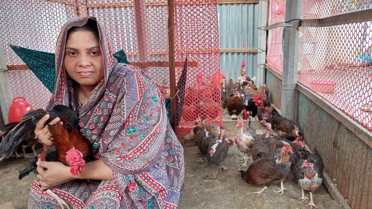 আপনি কেন দেশি মুরগি পালন করবেন না ?  ১৫-২০ হাজার টাকা দিয়ে শুরু করতে পারেন || Youth Agro