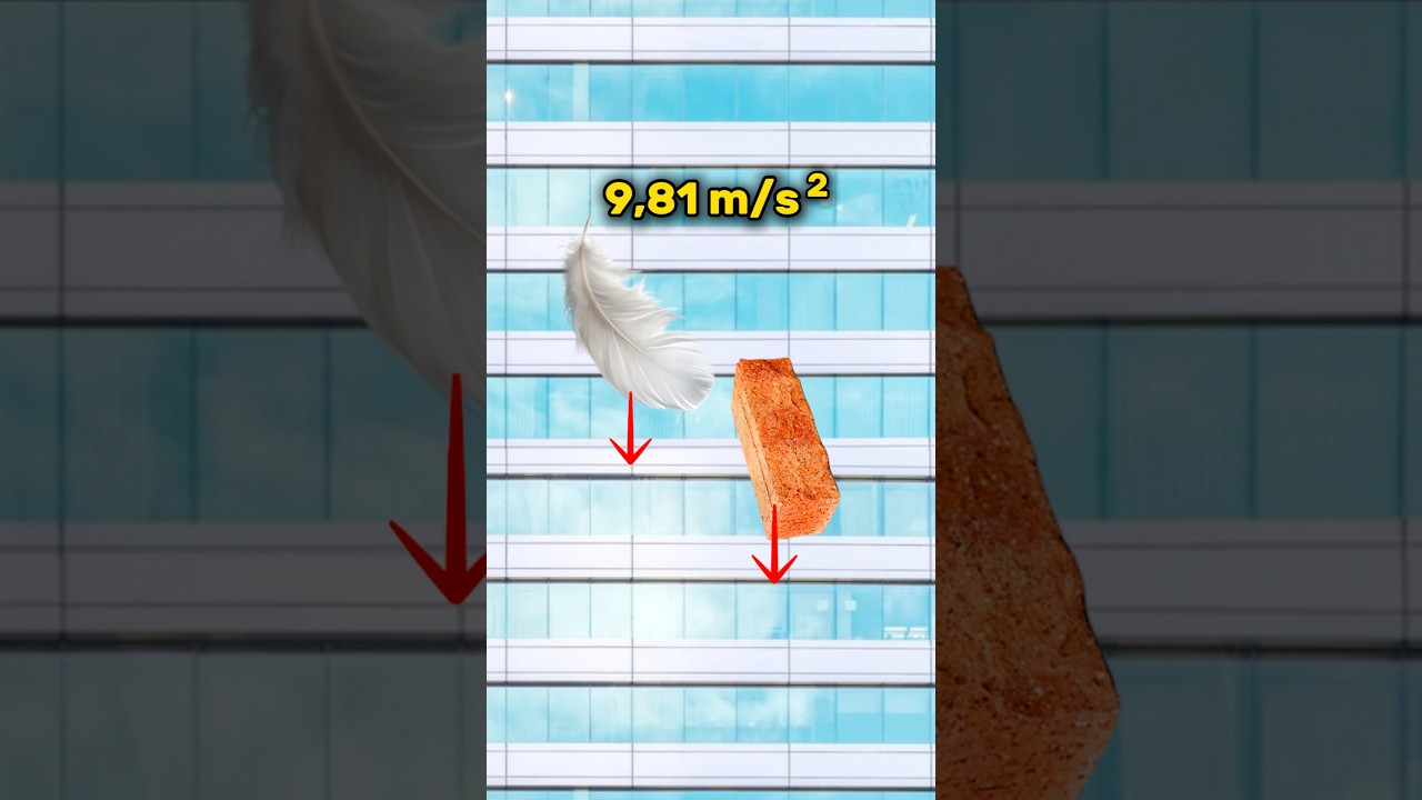 CA&Iacute;DA PLUMAS vs LADRILLOS🧱 #f&iacute;sica #gravedad #caidalibre #velocidad #ciencia #experimental