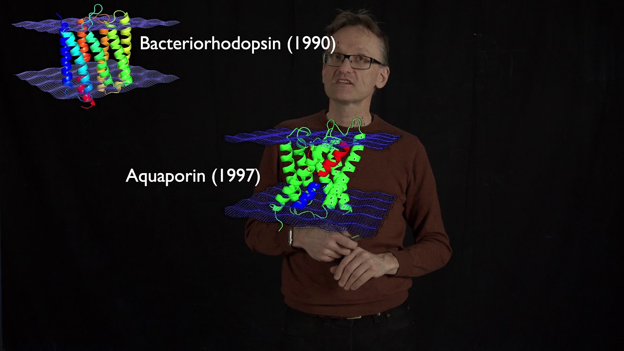 Concept 20: The first membrane proteins had simple structure, but new ones are more complex...