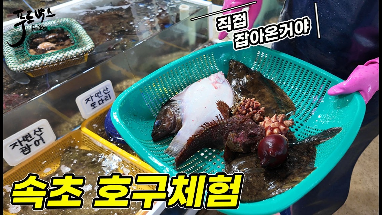 [속초 설악항]에서 호구체험을...요즘 이렇게 사면 호구된겁니다 ~ 얼마주고  뭘 샀길래 호구가 되었을까?