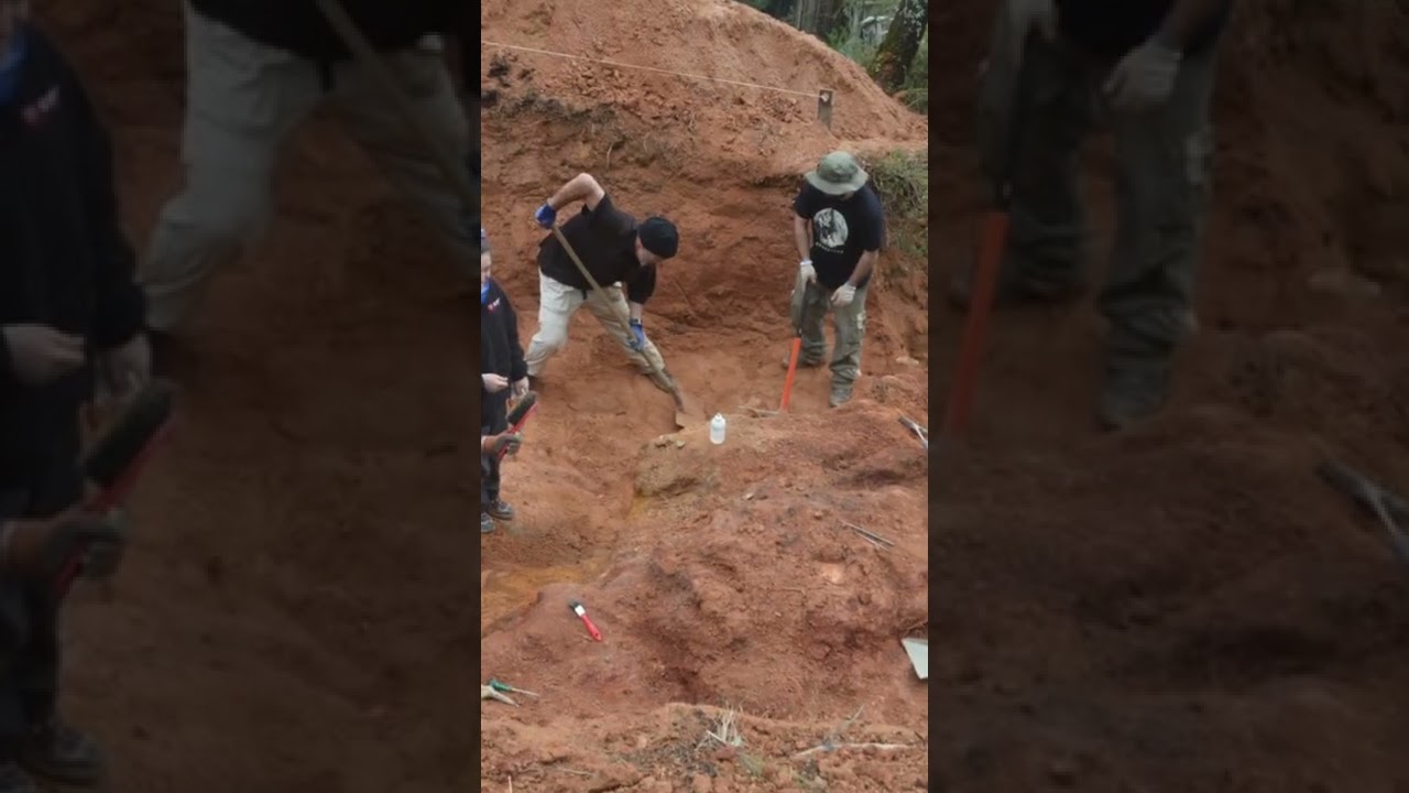 GIANT Dinosaur Fossil Found in Portuguese Garden