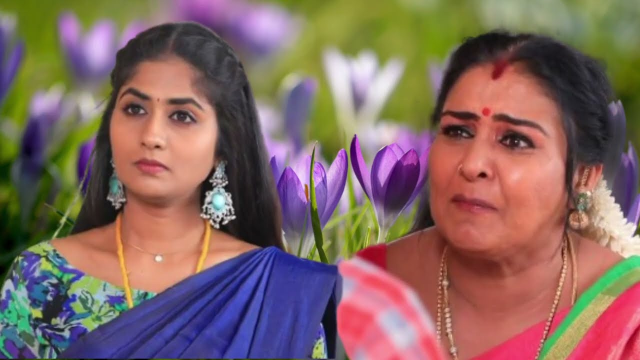 Chinna Marumagal Serial Upcoming Episode Review January 22 | 2026