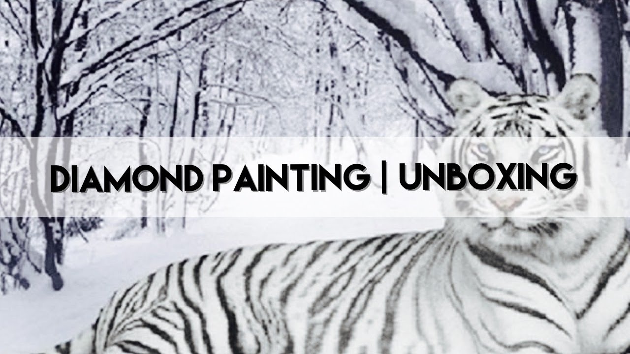 Diamond Painting - Unboxing | Newhomy