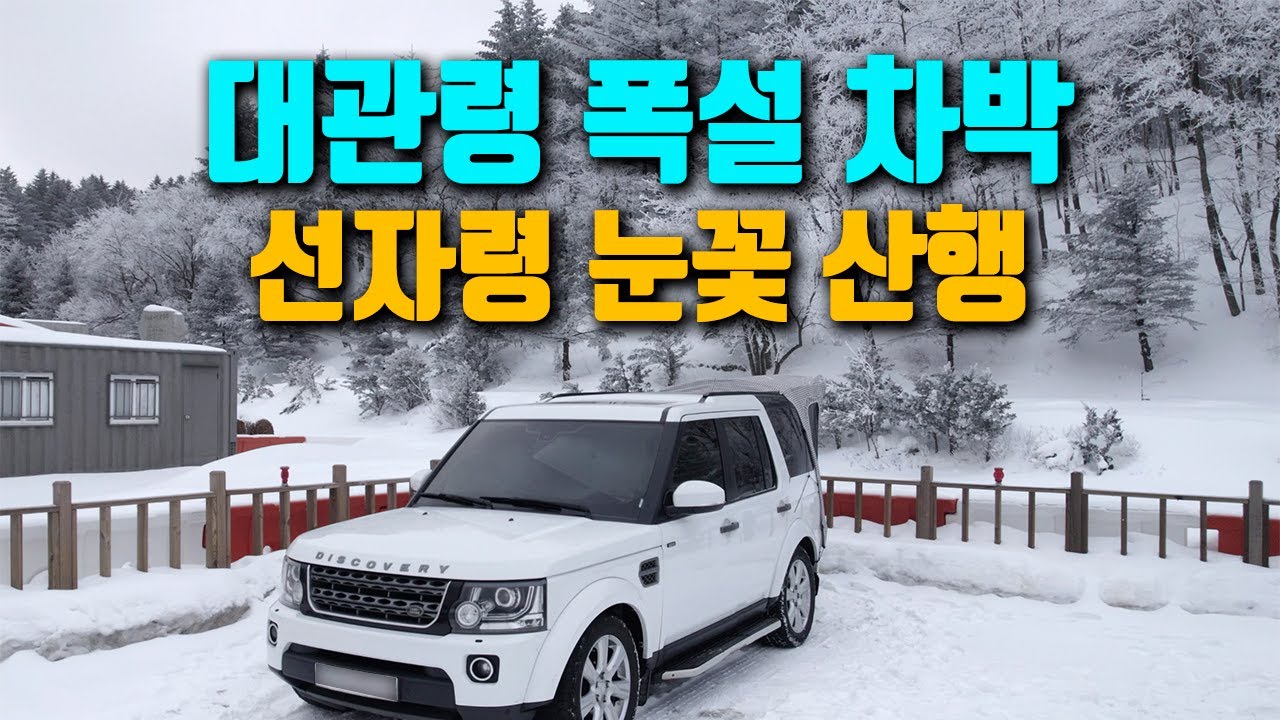 선자령에서 조난 당할뻔 했던 대관령 차박 / 눈꽃산행 / 디스커버리4 / CAR CAMPING
