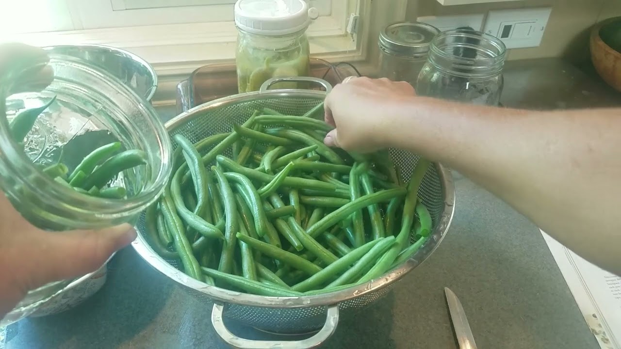 Steam Canned Pickled Green Beans: Step by Step Instruction