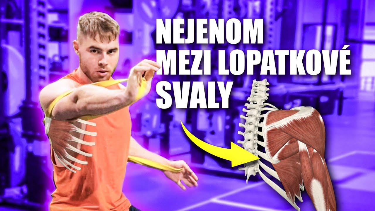 JAK NEJENOM NA MEZILOPATKOVÝ SVALY? | Jednoduchá anatomie a cviky!