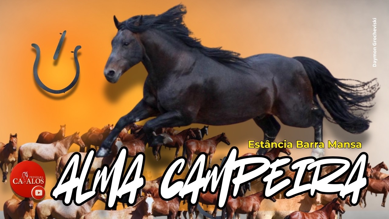 O cavalo que une fam&iacute;lias e abre as portas para prova de doma com premia&ccedil;&atilde;o na Est&acirc;ncia Barra Mansa