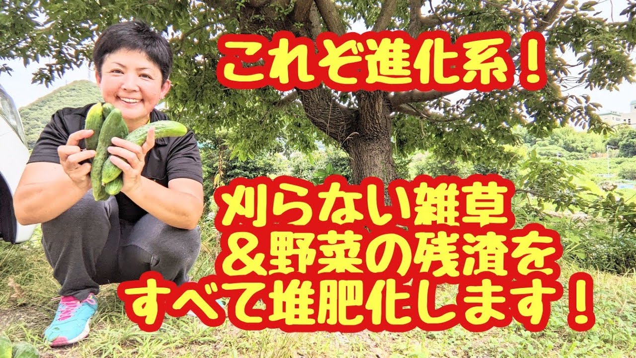 進化系😳刈らない雑草堆肥づくり❗夏野菜の残渣も、たくましく伸びる雑草も、全部まとめて堆肥化できます❗