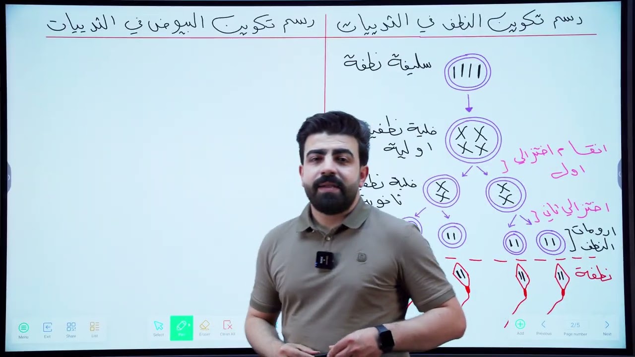 رسم و مخطط تكوين النطف و البيوض في الثدييات | رسومات الفصل الثالث