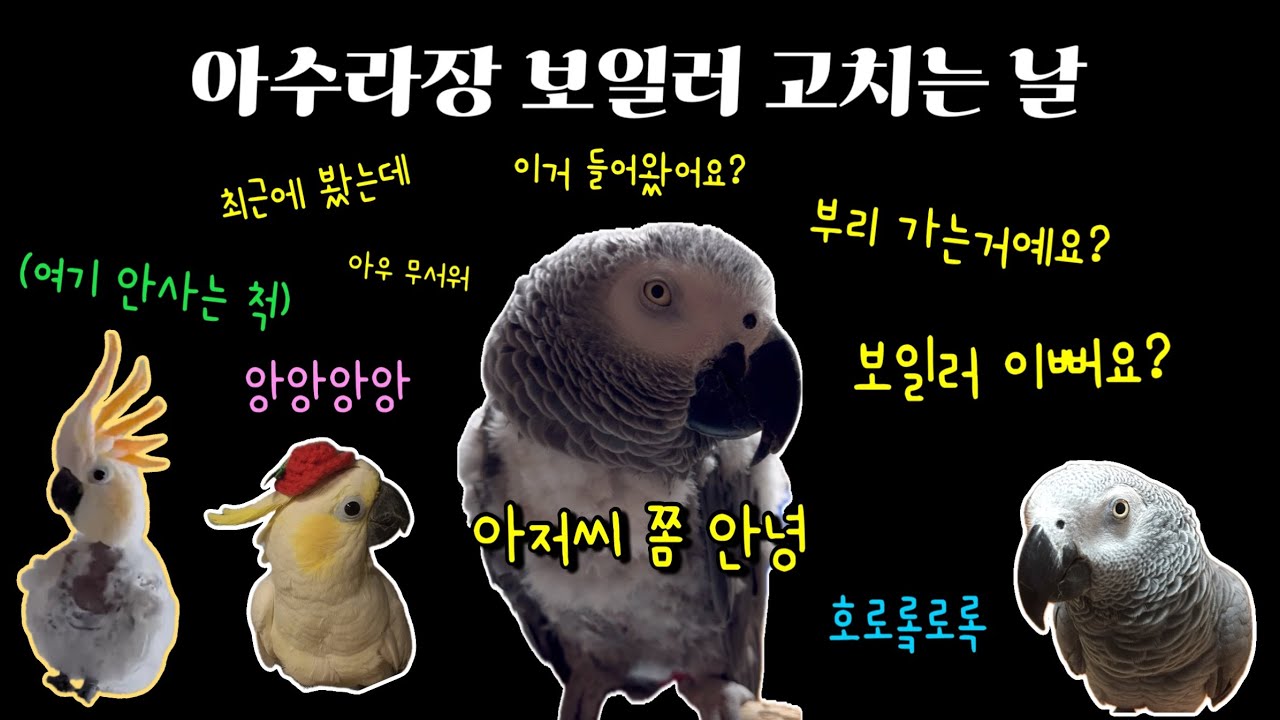 [녹취록] 아수라장 보일러 바꾸던 날 / 프로 참견러 김루이쒸