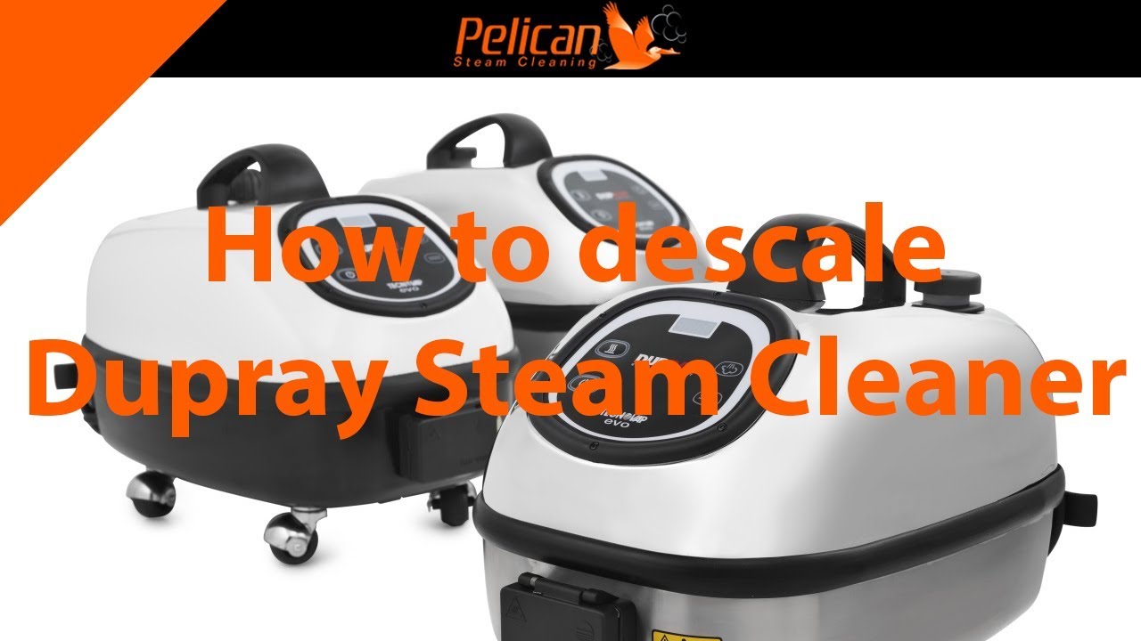 How to descale dupray steam cleaner