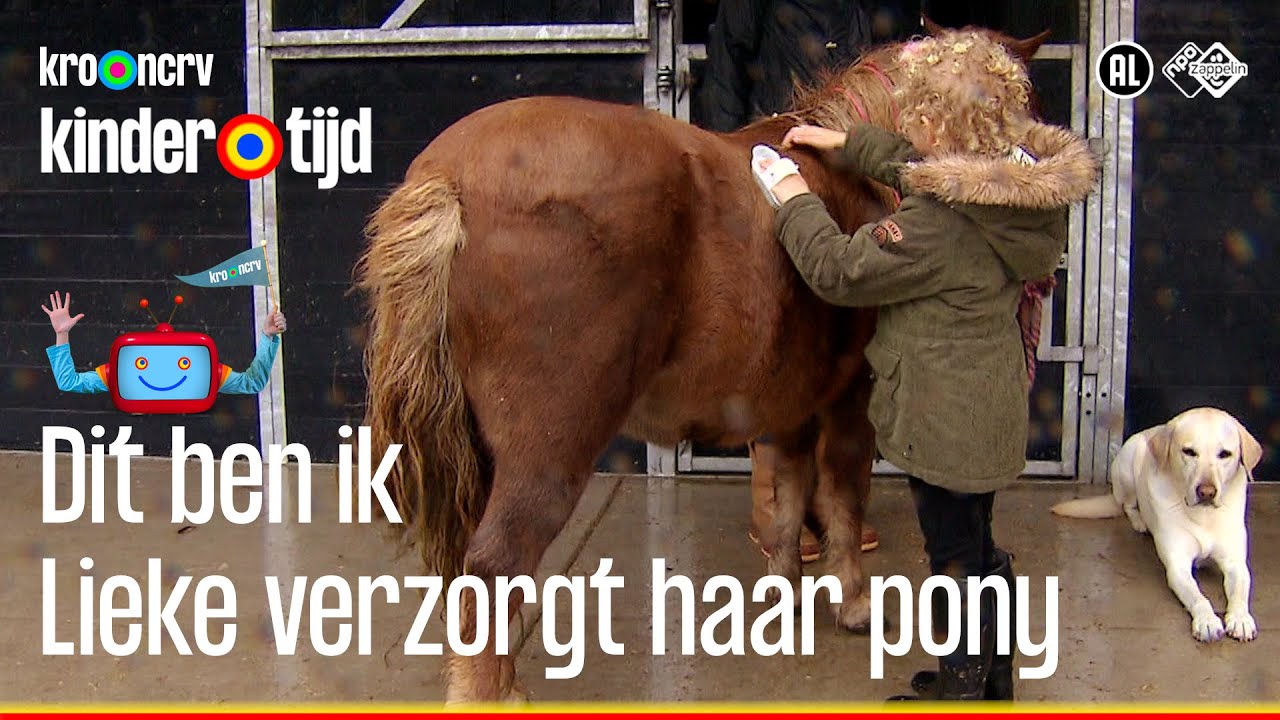 Lieke verzorgt haar pony Kwispel (Kindertijd KRO-NCRV)