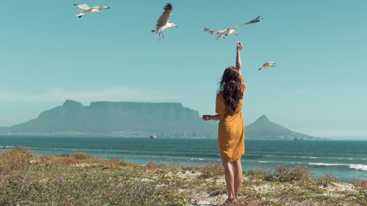 Subway Elephant - Alice's Eyes (Official Music Video)