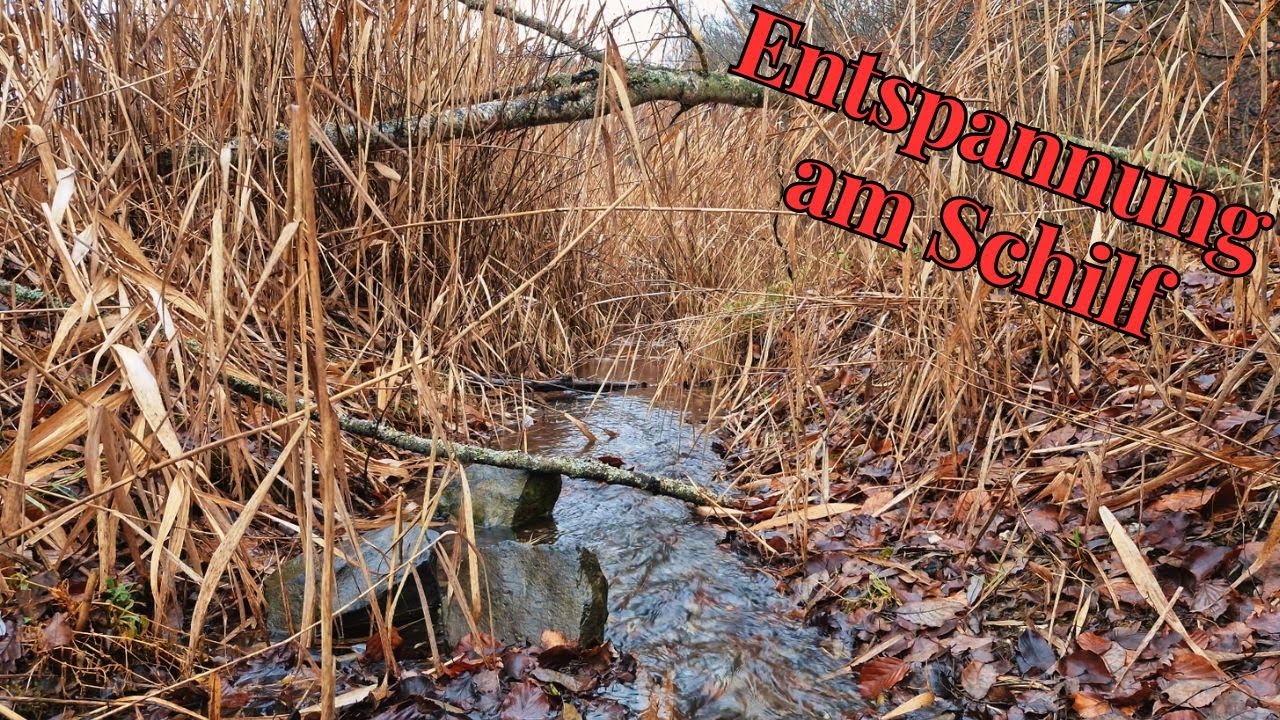 Entspanntes Bachplätschern (30 Minuten) - Teil 2
