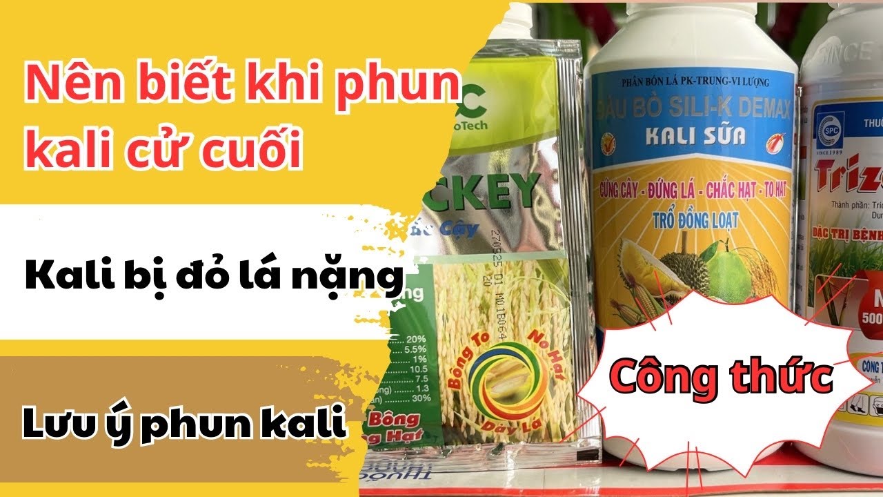 Kinh nghiệm phun cử cuối, cử đỏ đuôi. Những yếu tố trúng mùa