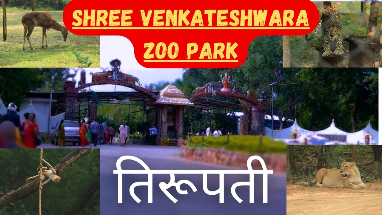 Tirupati Zoological Park | S V Zoological Park Tirupati | Jungle Safar Marathi 2023.