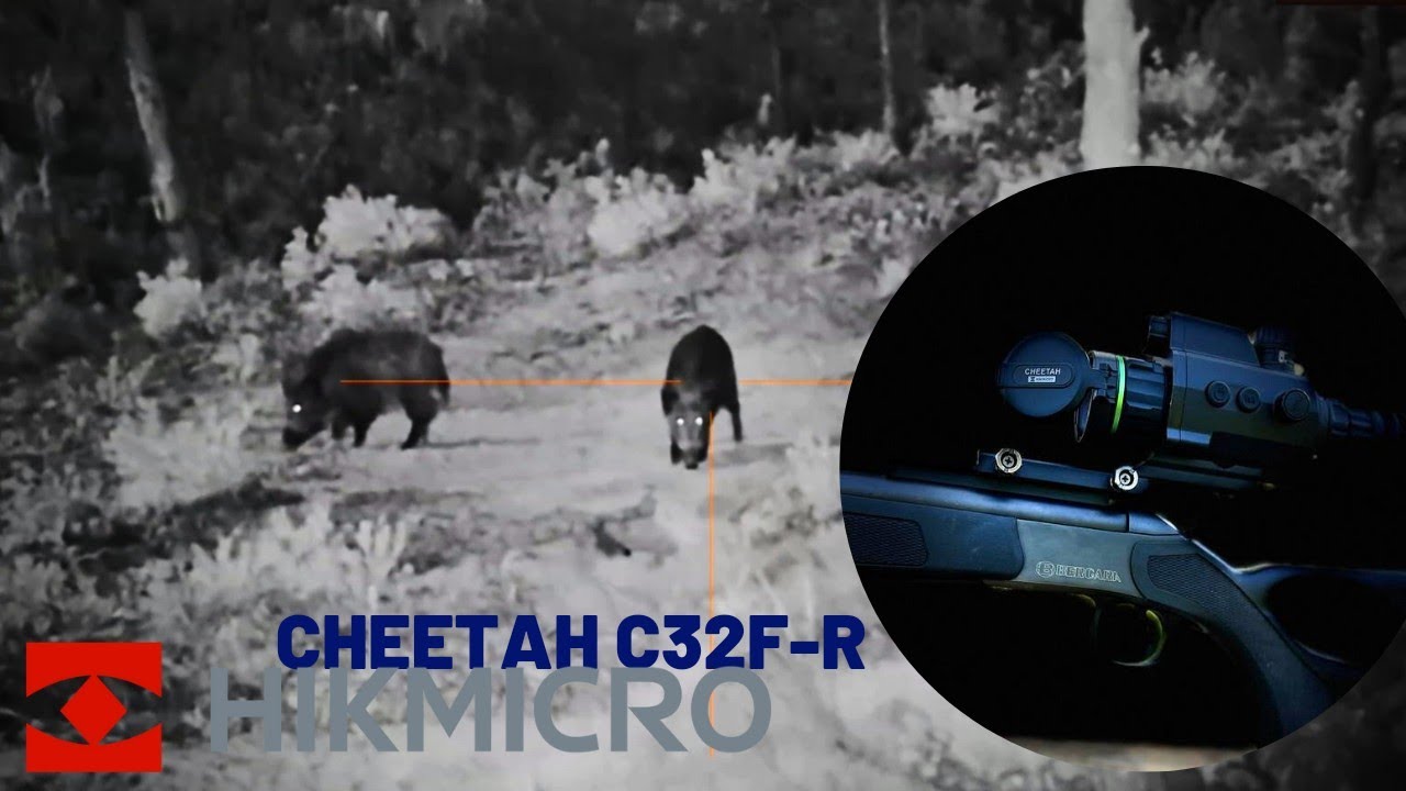 Tiago Tac&atilde;o - HIKMICRO CHEETAH C32F-R com imagens noturnas. Night vision image #hikmicro