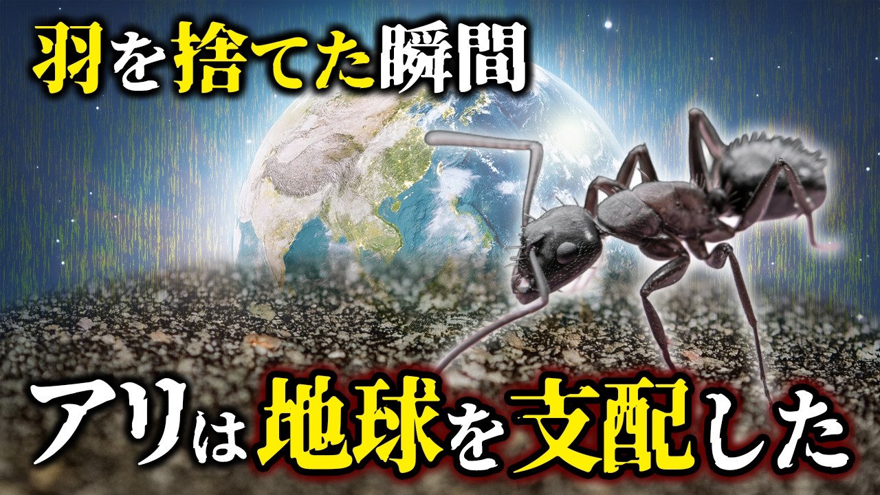 【ゆっくり解説】アリはハチから進化した！？羽を捨てた最強昆虫の軌跡